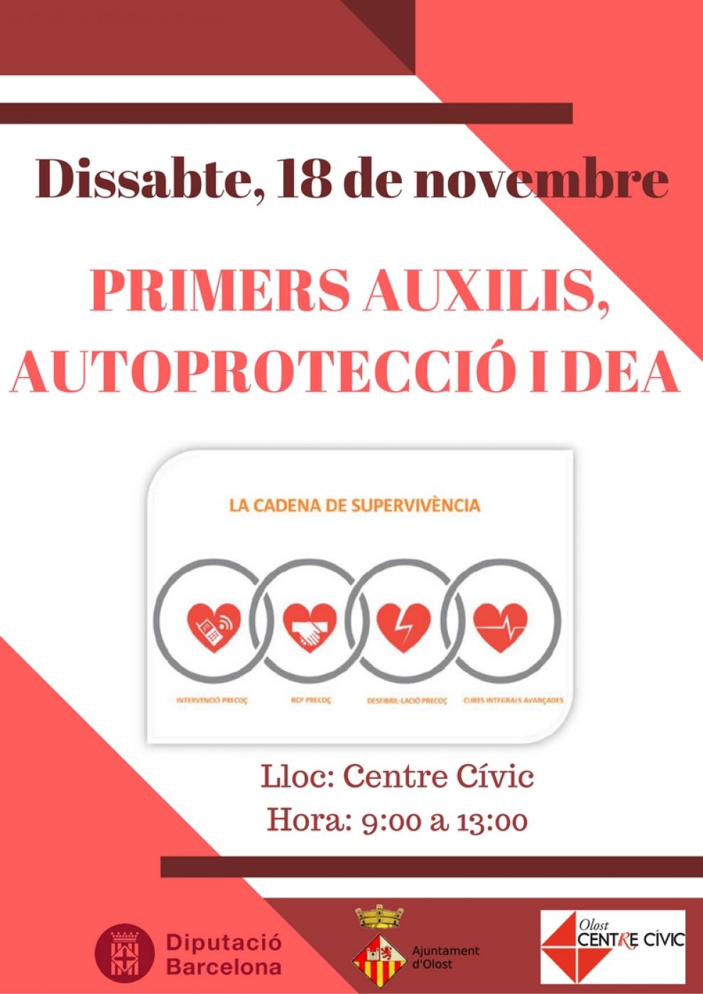 Curs de primers auxilis i DEA